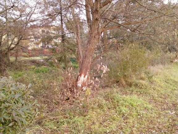 P1504[03] 29-10-11