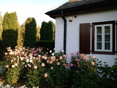 P1725[01] 18-09-11